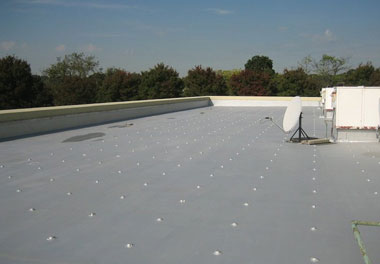 flat roof: polyurethane roof coatings