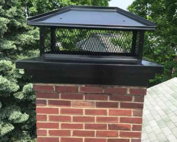 chimney services