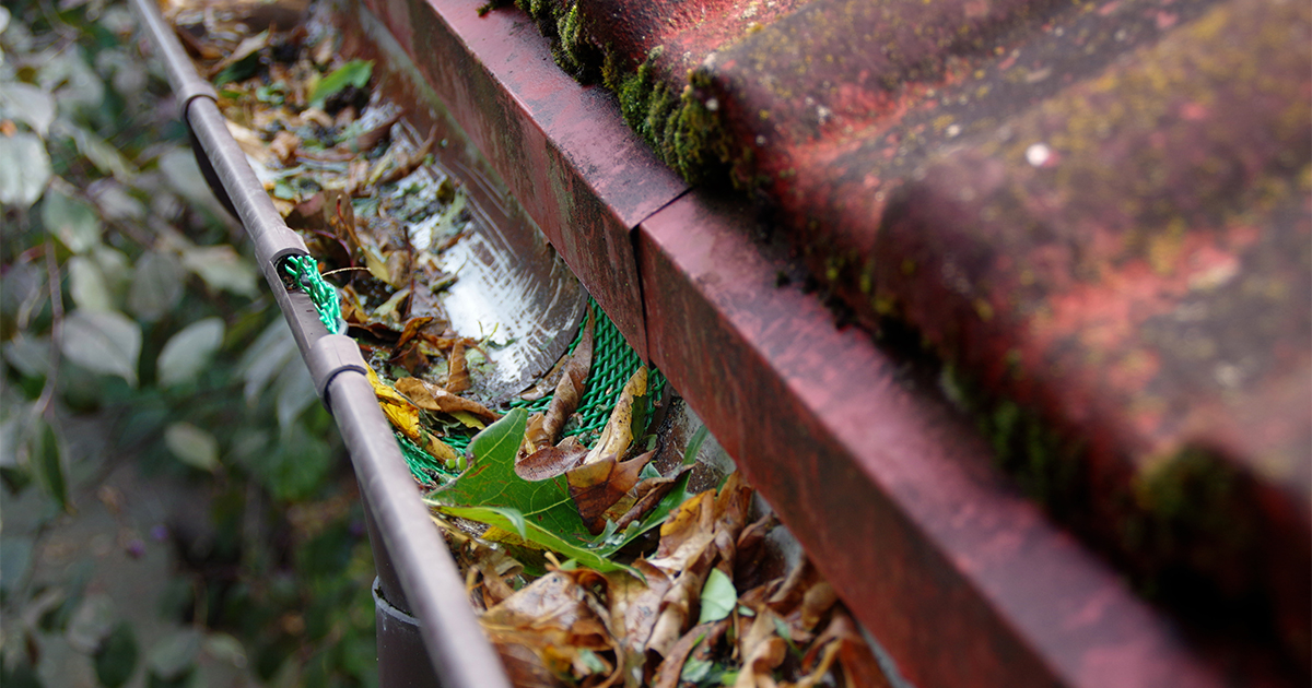How Gutter Guard Can Help You Keep Your Home in Top Condition